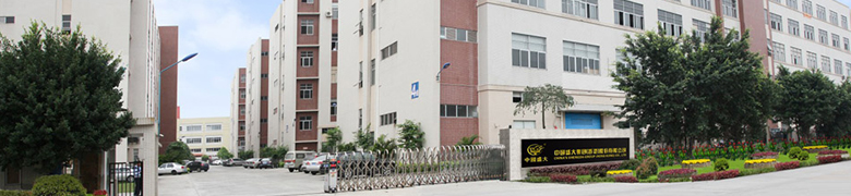 中国盛大集团（香港）股份有限公司